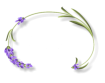 Pension Lavendel Oberaudorf